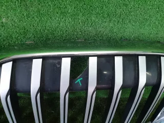 51138494817 Решетка радиатора BMW 7 G11/G12 Арт 0000005796984, вид 9
