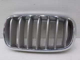 51137316053 Решетка радиатора BMW X5 F15 Арт BIT693683, вид 1