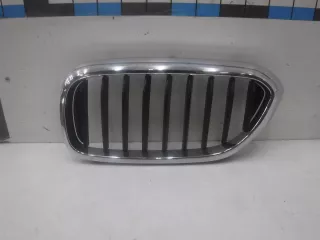 51137390865 Решетка радиатора BMW 5 G30/G31 Арт 693663, вид 1