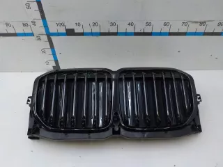51138745730  Решетка радиатора BMW X7 g07 Арт BIT696337, вид 1