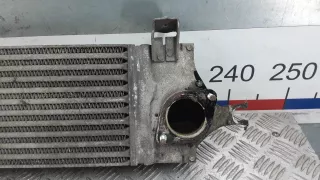 14461BB30A Радиатор интеркулера Nissan Qashqai 1  Арт XEA30KC01, вид 5
