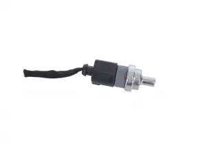 05C919501 , art8817192 Датчик температуры охлаждающей жидкости Skoda Enyaq Арт 8817192, вид 1