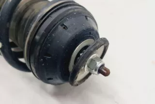 22258454, 13337370 , art8800668 Амортизатор передний правый Opel Meriva 2 Арт 8800668, вид 4