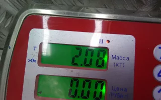  карданный вал BMW X5 E53 Арт 2NS01YK01, вид 5