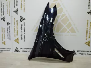 41007491382 Крыло синее BMW X3 G01 Арт TP63220, вид 1