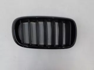 51137316054 Решетка радиатора BMW X5 F15 Арт 690881, вид 1
