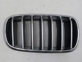 51137294485 Решетка радиатора BMW X5 F15 Арт 638285, вид 1