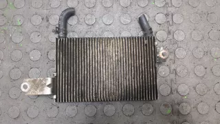 2391726030 Радиатор топлива Toyota Rav 4 3 Арт 8602218