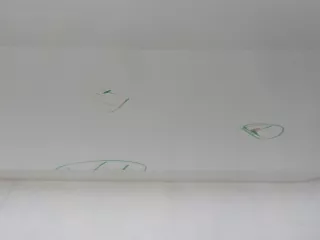 A2057200205 Дверь передняя правая Mercedes C W205 Арт 698877, вид 9