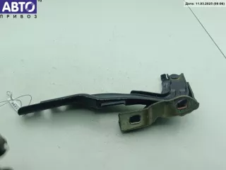  Петля капота правая Fiat Bravo 2 Арт 54357587, вид 1