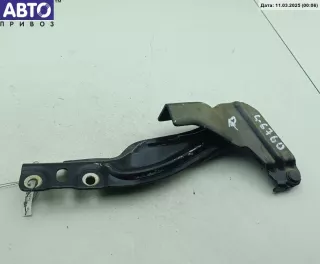 Петля капота правая Fiat Bravo 2 Арт 54357587, вид 2