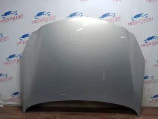 1160013 Капот OPEL INSIGNIA 2011 Opel Insignia 1 Арт AV56324, вид 1