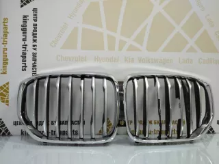 7454887 Решетка радиатора BMW X5 G05  Арт TP67236, вид 1