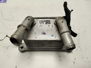 213052032R Радиатор масляный Renault Scenic 4 Арт 54488392, вид 1