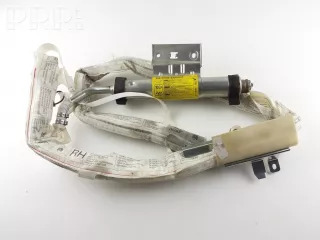 2r8314k159al, , e509e326854u176 , artKAM18463 Подушка безопасности боковая (шторка) Jaguar S-Type Арт KAM18463, вид 1
