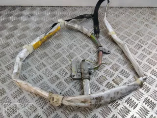 826715707 , artSIG14049 Подушка безопасности боковая (шторка) BMW X5 E53 Арт SIG14049, вид 1