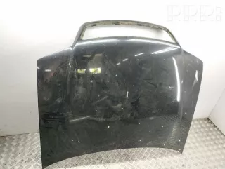 artAMD75719 Капот Audi A6 C5 (S6,RS6) Арт AMD75719, вид 1