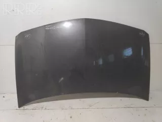 artVYT24045 Капот Renault Megane 2 Арт VYT24045, вид 1