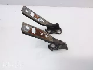1j0823302a , artRAG68746 Петля капота Volkswagen Golf 4 Арт RAG68746, вид 1