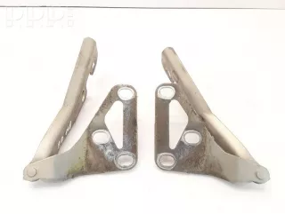 13213448, 13213447, z167 , artVEI61165 Петля капота Opel Astra H Арт VEI61165, вид 1