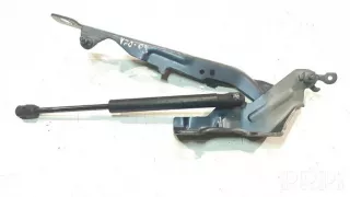31250185, 236xgd7e , artATZ12515 Петля капота Volvo V70 3 Арт ATZ12515, вид 1
