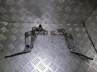 7M0823302L Петля капота Seat Alhambra 1 restailing Арт 38335, вид 1