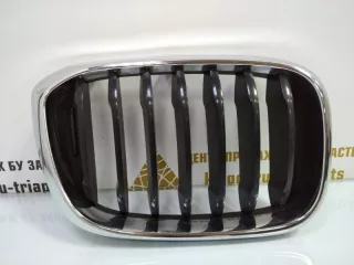 7440854 Решетка радиатора BMW X3 G01 Арт TP68621, вид 1