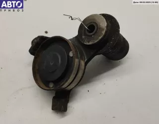 06C909133B Механизм натяжения ремня, цепи Audi A4 B6 Арт 54539961