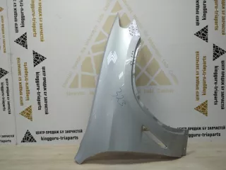 41007491382 Крыло серебро BMW X3 G01 Арт TP70216, вид 1