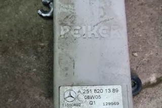 A2518201389 , art9717143 Прочая запчасть Mercedes R W251 Арт 9717143, вид 1