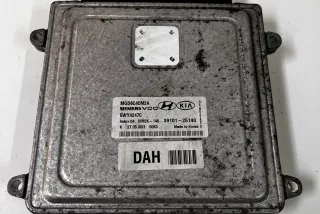 3910125140, 5WY4247C , art9665874 Блок управления двигателем Kia Optima 2 Арт 9665874, вид 1