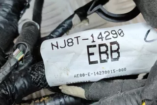 JX6T-14A003-AB, LJ8T-14D068-NAC, CNJ8T-14290-EBB, LJ8T-12B637-NAH, NJ8T-14290-EBB , art9804204 Проводка Ford Mustang Mach-E Арт 9804204, вид 11