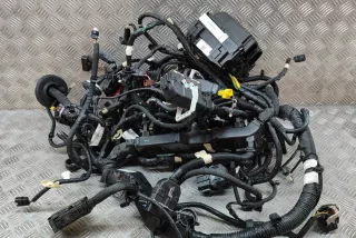JX6T-14A003-AB, LJ8T-14D068-NAC, CNJ8T-14290-EBB, LJ8T-12B637-NAH, NJ8T-14290-EBB , art9804204 Проводка Ford Mustang Mach-E Арт 9804204, вид 2