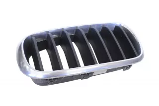 7316076 , art9808779 Заглушка (решетка) в бампер передний BMW X5 F85 Арт 9808779, вид 1