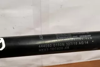 0150N, #D1909 , art5983964 Амортизатор передний Jaguar F-Pace Арт 5983964, вид 3