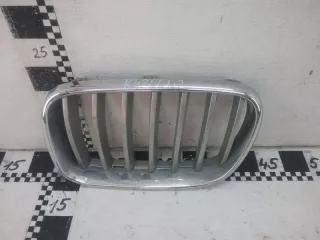 51117210725 Решетка радиатора BMW X3 F25 Арт AK420002, вид 1