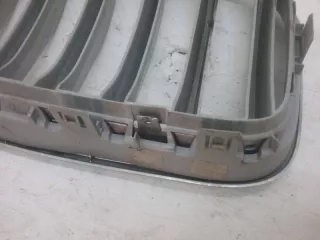 51117210725 Решетка радиатора BMW X3 F25 Арт AK420002, вид 3
