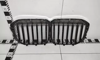 51137454895 Решетка радиатора BMW X7 g07 Арт A988777K, вид 6