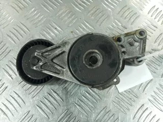 06A903315F Натяжитель ремня генератора Volkswagen Passat B6 Арт 109967.19, вид 1