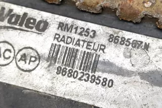 9680239580 , art9863106 Радиатор (основной) Citroen C2 restailing Арт 9863106, вид 2