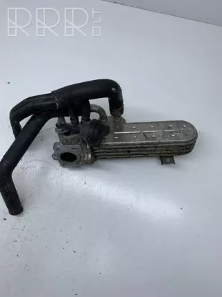 03g131513j, 03g131513j , artDRA13597 Охладитель отработанных газов Volkswagen Golf 5 Арт DRA13597, вид 1