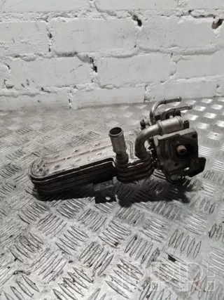 3210275 , artFOM6850 Охладитель отработанных газов Volkswagen Golf 5 Арт FOM6850, вид 1