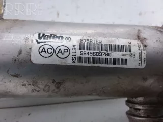 9645689780 , artARA42836 Охладитель отработанных газов Peugeot 807 Арт ARA42836, вид 2