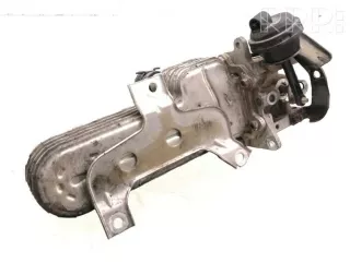 03g131063e, 038131513ad, 319520040 , artARA156354 Охладитель отработанных газов Volkswagen Passat B6 Арт ARA156354, вид 1