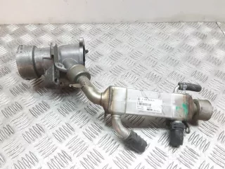 a6461400875 , artDTL21301 Охладитель отработанных газов Mercedes C W203 Арт DTL21301, вид 1