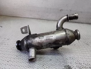 9627242880 , artDEV62003 Охладитель отработанных газов Citroen C5 1 Арт DEV62003, вид 1