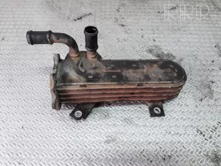 038131513ad , artDEV41494 Охладитель отработанных газов Skoda Octavia A5 Арт DEV41494, вид 1