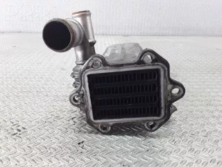 038131513ad , artDEV14472 Охладитель отработанных газов Skoda Octavia A4 Арт DEV14472, вид 4