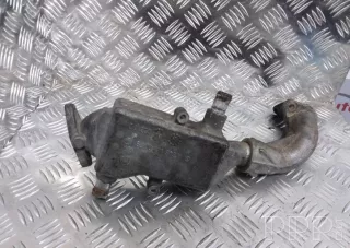 a6461420079 , artARA5036 Охладитель отработанных газов Mercedes Vito W639 Арт ARA5036, вид 4