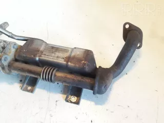 256800r02000 , artGVI5520 Охладитель отработанных газов Toyota Avensis 2 Арт GVI5520, вид 4